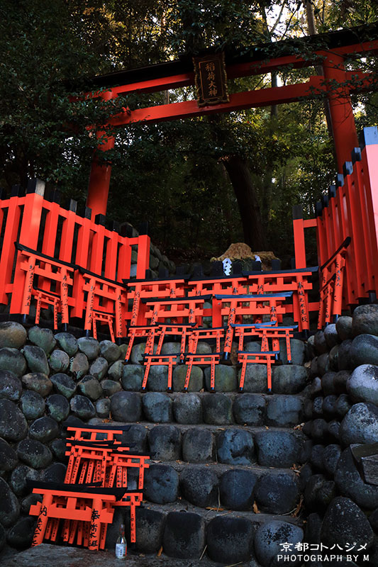 FUSHIMIINARI-013