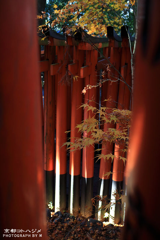 FUSHIMIINARI-018