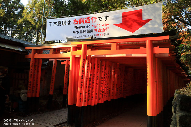 FUSHIMIINARI-019