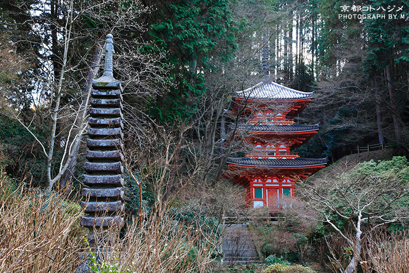 GANSENJI-030