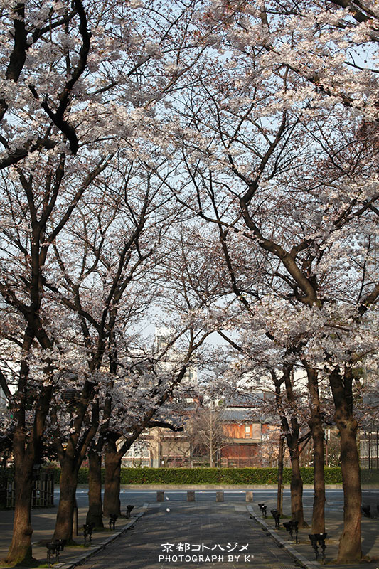 GIONSHIRAKAWA-010