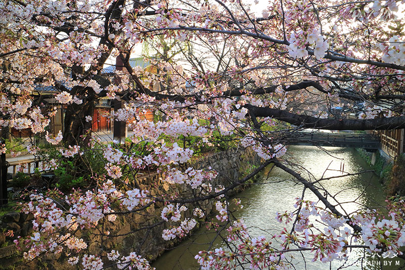 GIONSHIRAKAWA-020