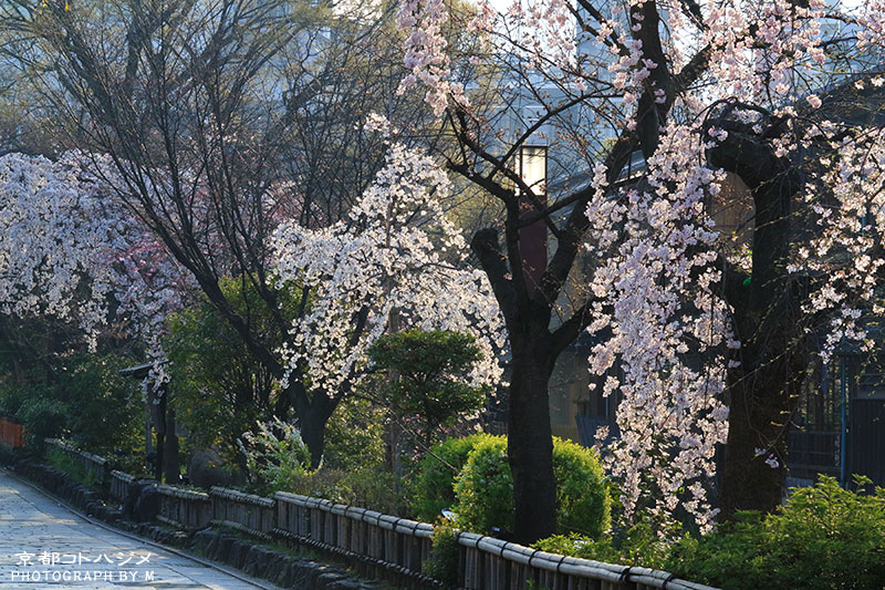 GIONSHIRAKAWA-040