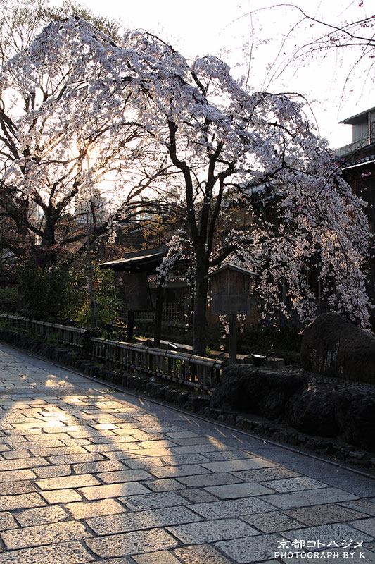 GIONSHIRAKAWA-050