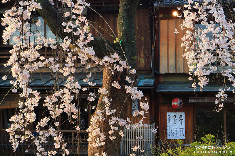 GIONSHIRAKAWA-055