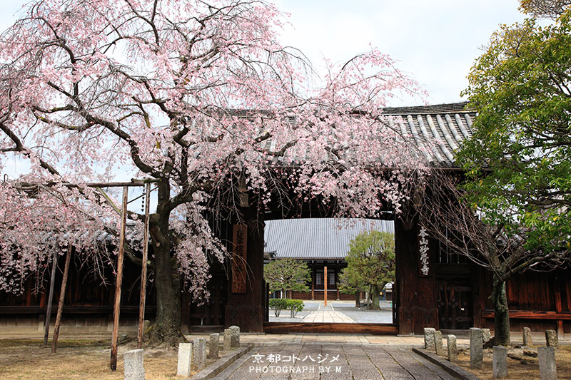 MYOUKAKUJI-010