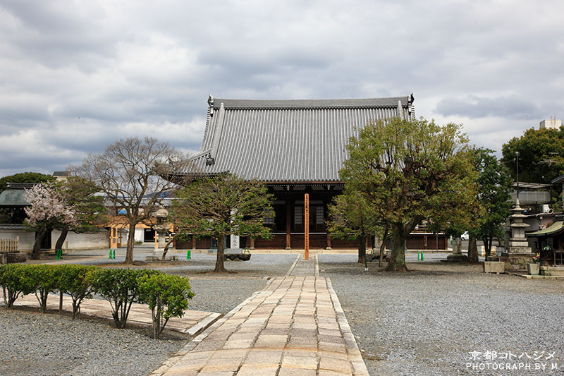 MYOUKAKUJI-015