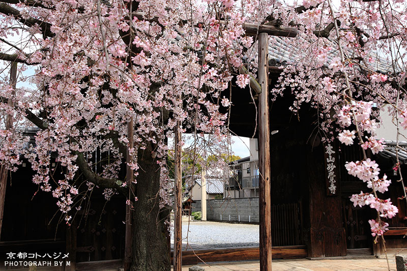 MYOUKAKUJI-040