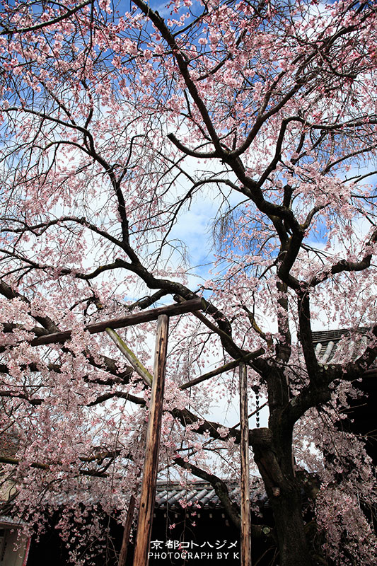 MYOUKAKUJI-060