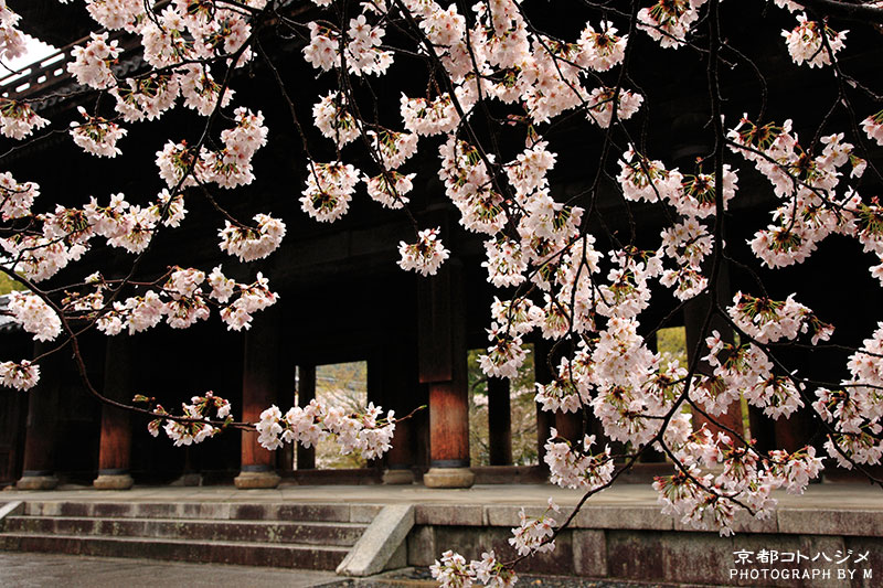 NANZENJI-027