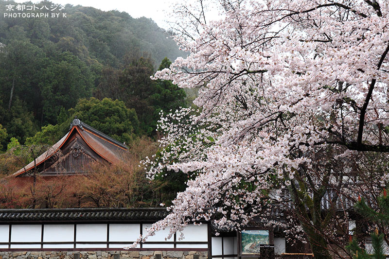 NANZENJI-030