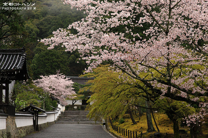 NANZENJI-040