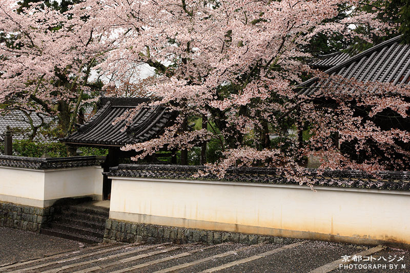 NANZENJI-050