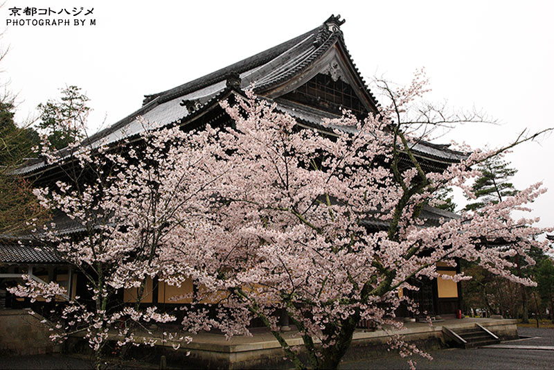 NANZENJI-070