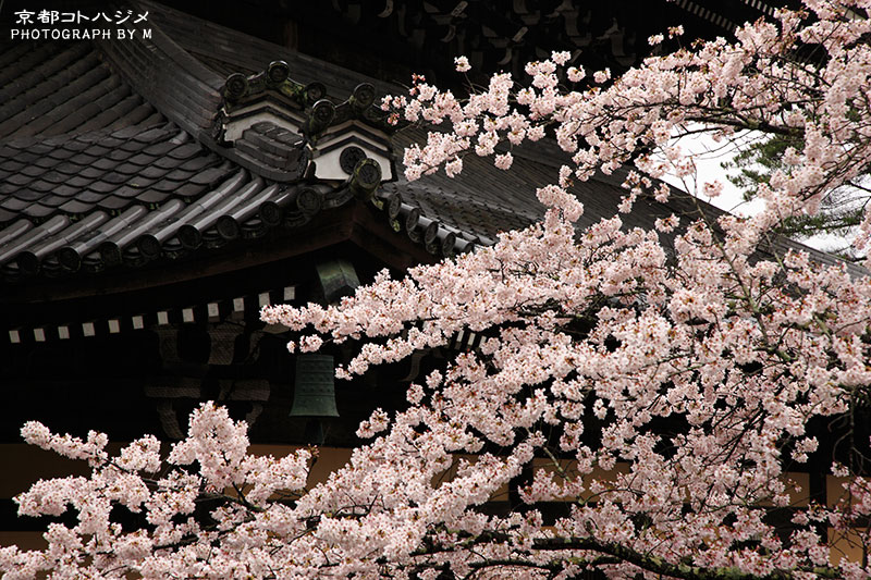 NANZENJI-080