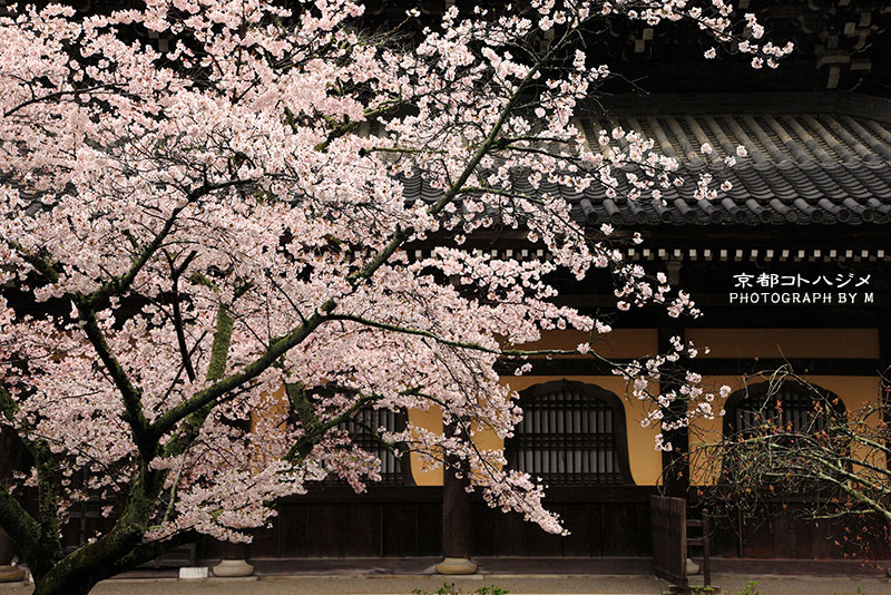 NANZENJI-090