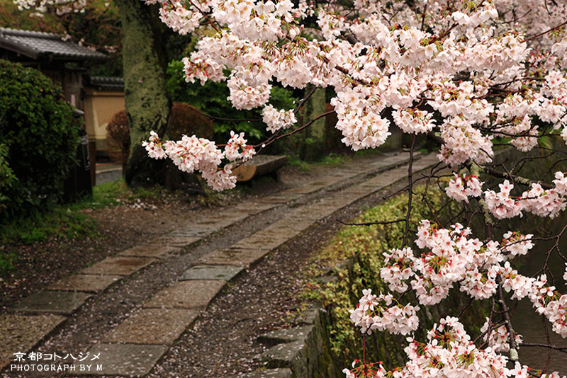 TETSUGAKUNOMICHI-005