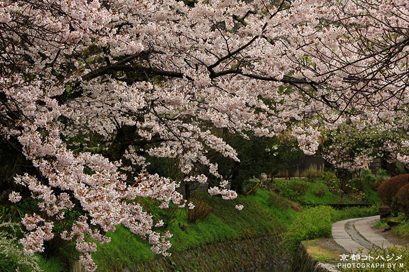 TETSUGAKUNOMICHI-060