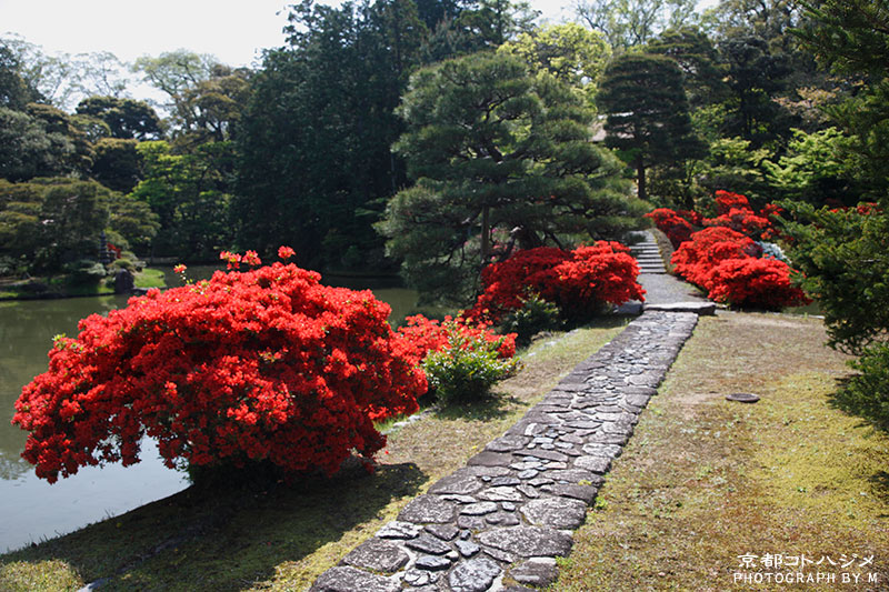 KATSURARIKYU-090