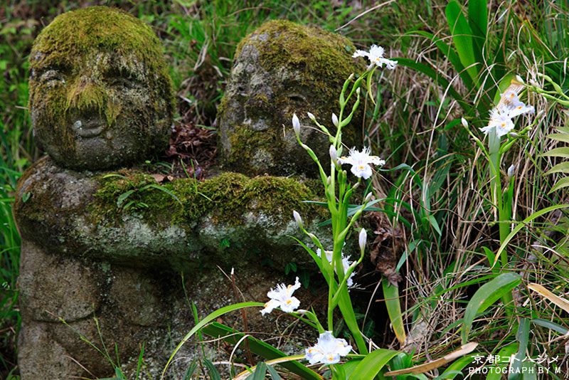 OTAGINENBUTSUJI-080