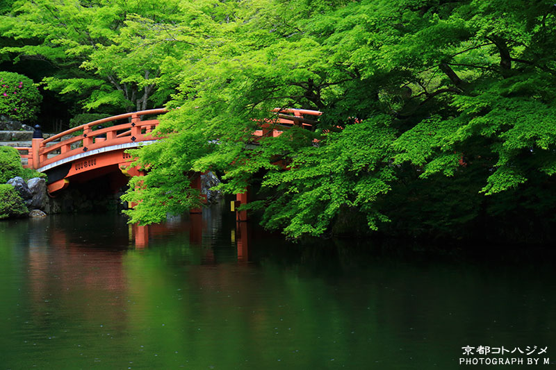 DAIGOJI-060