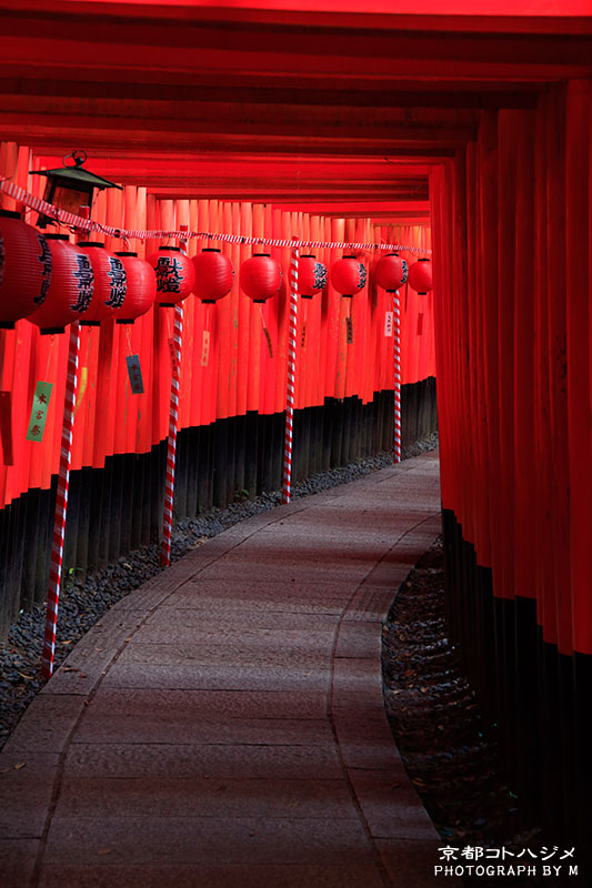 FUSHIMIINARI-004