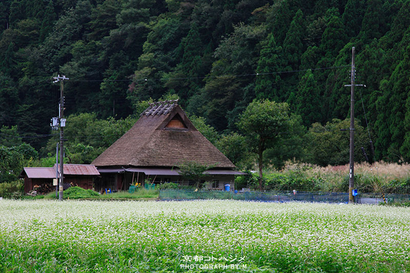 miyama-030