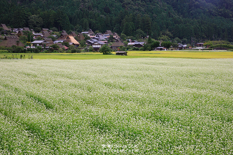 miyama-060